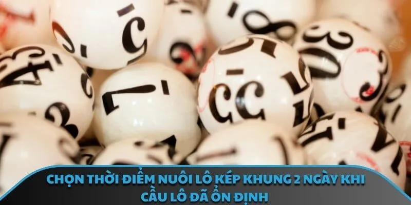 Chọn thời điểm nuôi lô kép khung 2 ngày khi cầu lô đã ổn định 