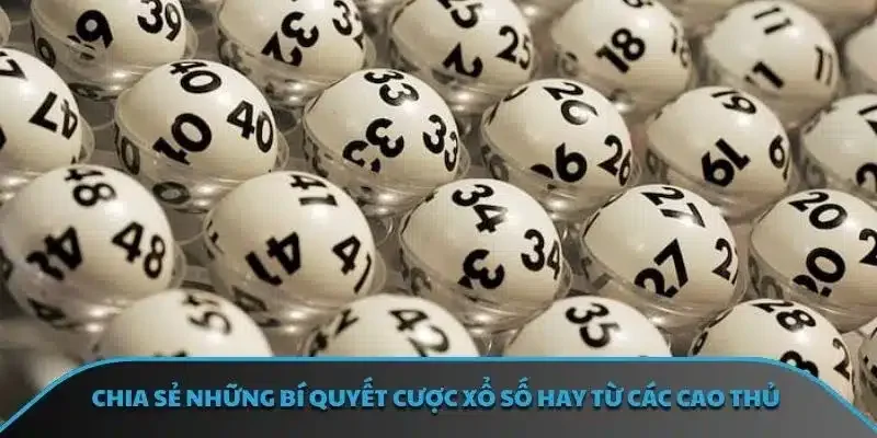 Chia sẻ những bí quyết cược xổ số hay từ các cao thủ